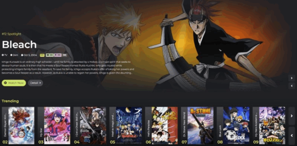 Zoro free anime homepage